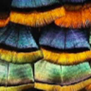 Meet your Posher, Mimi